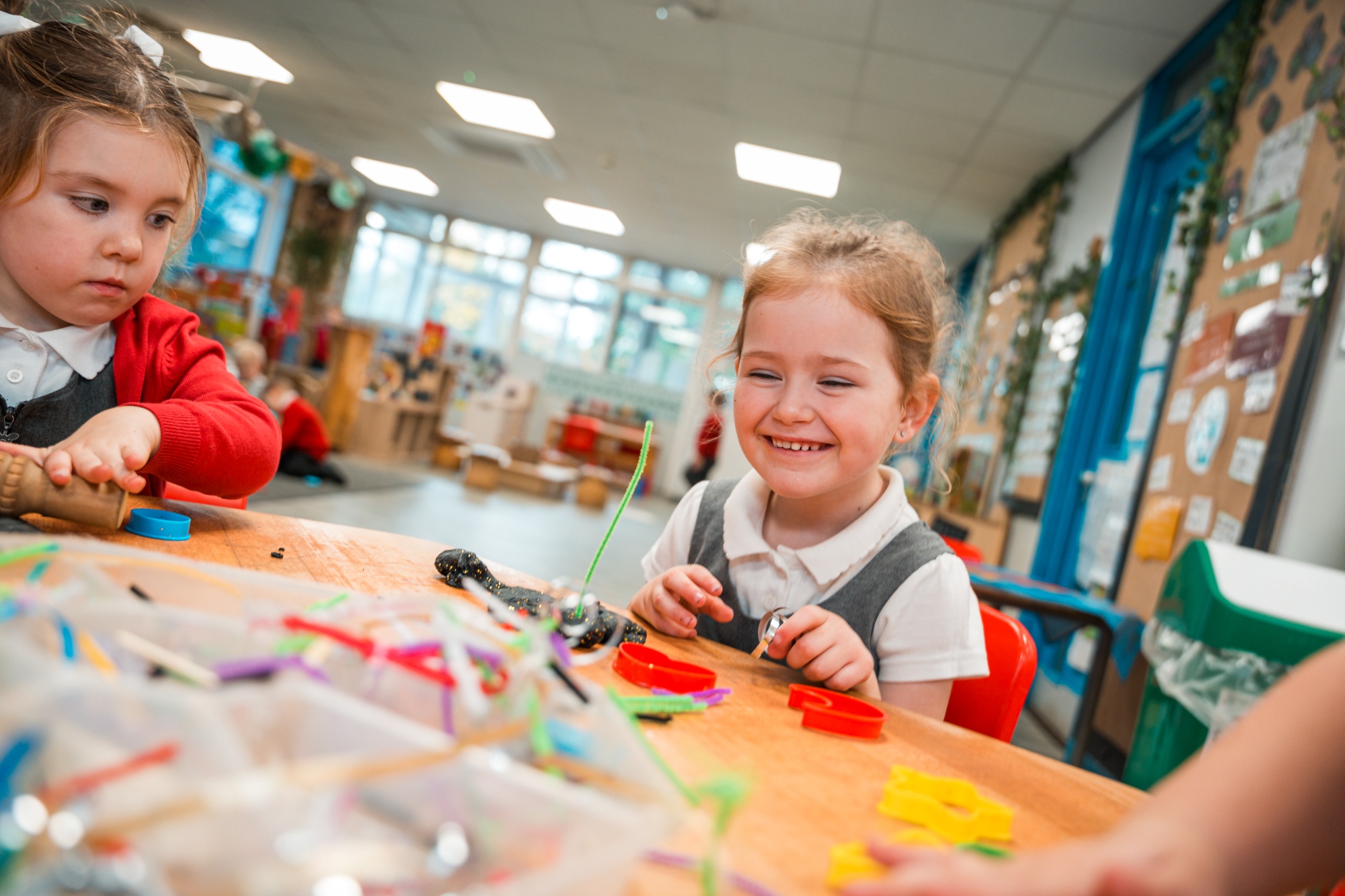 School Meals image